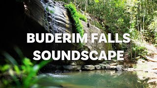 Relax at Buderim Falls QLD  Soundscape 1 hour [upl. by Faustina]