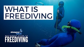 What Is Freediving  The Beginners Guide To Freediving [upl. by Dnaleel309]