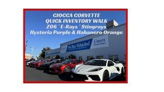 CIOCCA CORVETTE QUICK INVENTORY WALK [upl. by Balling]