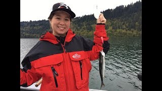 Merwin Reservoir Super Bait Kokanee Fishing [upl. by Irek]